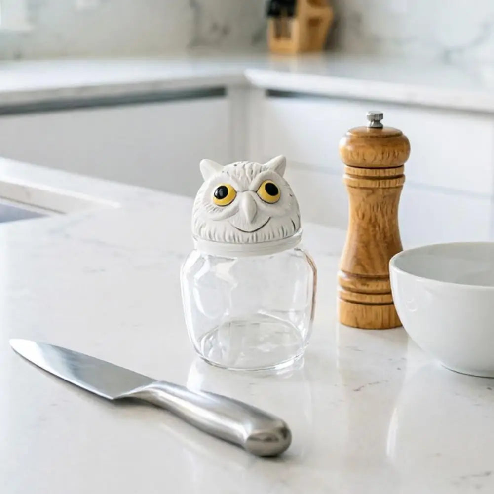 Glass Spice Container Sealed Glass Jar Moisture Proof Glass Spice Storage Jars with Witch Hat Owl Lids Decorative for Coffee